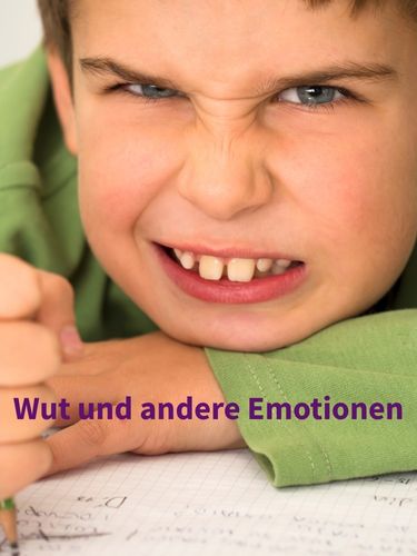 Sanfte Hilfe bei starken Gefühlen Sanfte Hilfe für starke Gefühle: Psychologische Beratung für Kinder und ihre Eltern