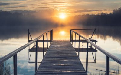 Warum Vitamin D im Winter